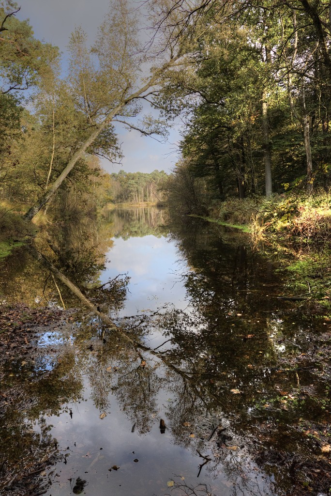 Oisterwijkse Bossen en Vennen Kampina natuurgebied natuur oisterwijk Nationaal park Landschap Het Groene Woud hei heide bossen natuurmonumenten brabant baronie boswachterij dorst